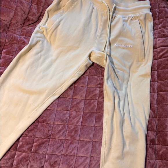 Alphalete Jogger Leggings - Picture 3 of 3